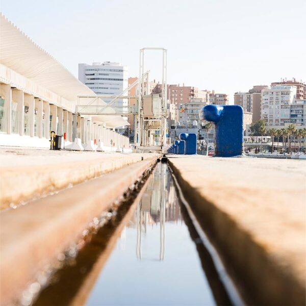 Sludge Dewatering Machine